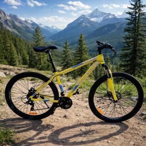 BICICL. R 29 H 24V OVERCROSS MAMBA
