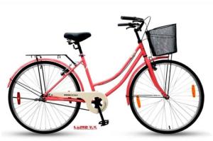 BICICL. R 26 D 0V BACCIO SIENA SALMON > P3576