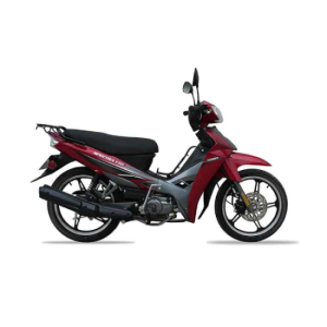 MOTO YUMBO SPECTRA 110 CC RJ